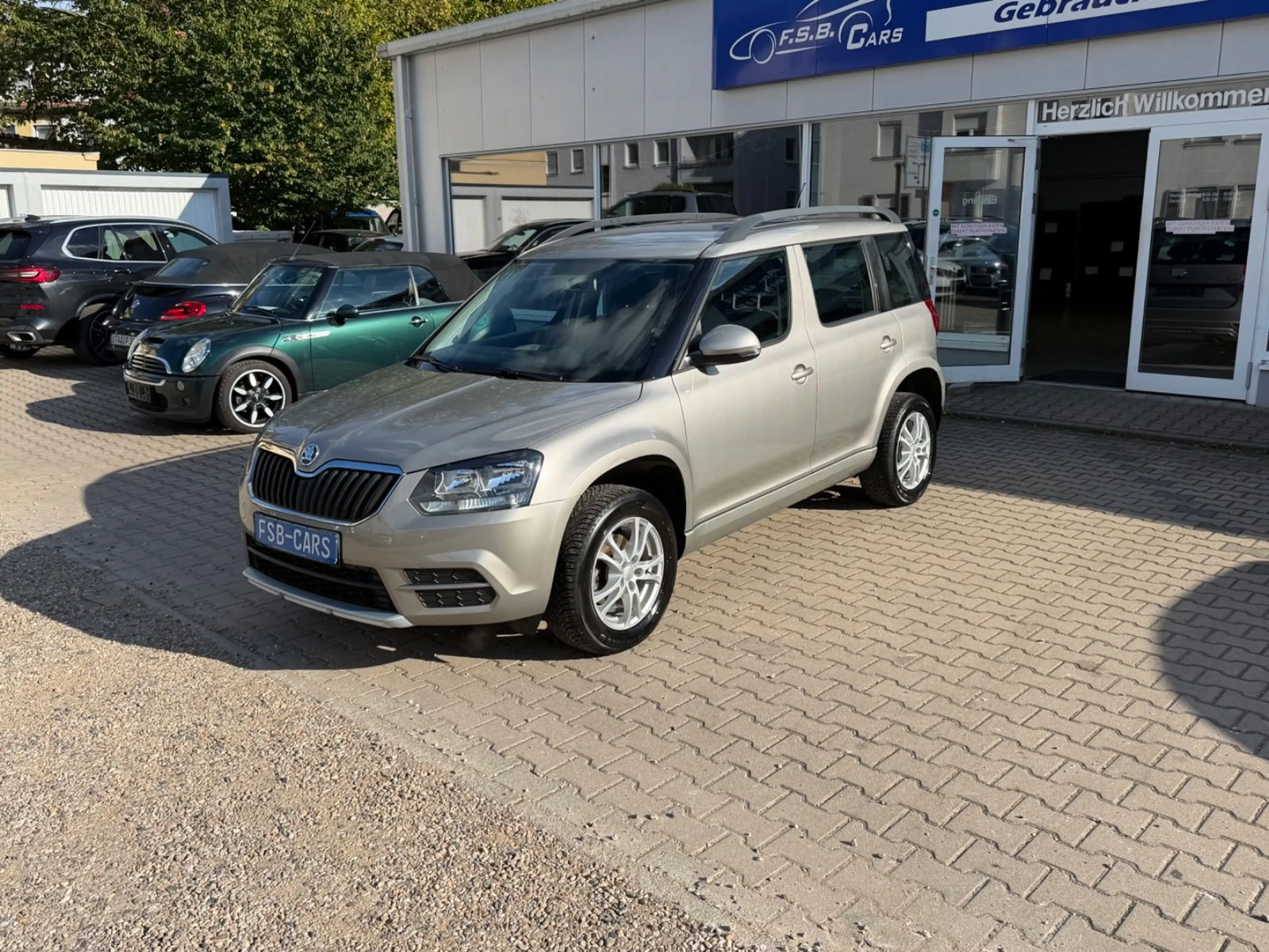 Skoda Yeti Active — photo 5