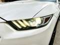 Ford Mustang Convertible 2.3 ecoboost 317CV auto Blanc - thumbnail 30