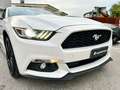 Ford Mustang Convertible 2.3 ecoboost 317CV auto Blanc - thumbnail 31