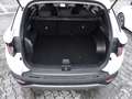 Hyundai TUCSON Trend Plug-In Hybrid 4WD Navi digitales Cockpit Weiß - thumbnail 16
