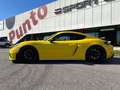 Porsche Cayman 718 Cayman 4.0 GT4 MANUALE CLUB SPORT Giallo - thumbnail 7