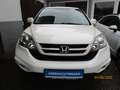 Honda CR-V Elegance Weiß - thumbnail 2