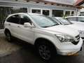 Honda CR-V Elegance Weiß - thumbnail 4