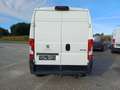 Peugeot Boxer 35+ L2H2 BlueHDi 165 S&S Weiß - thumbnail 14