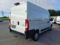 Peugeot Boxer 35+ L2H2 BlueHDi 165 S&S Weiß - thumbnail 11