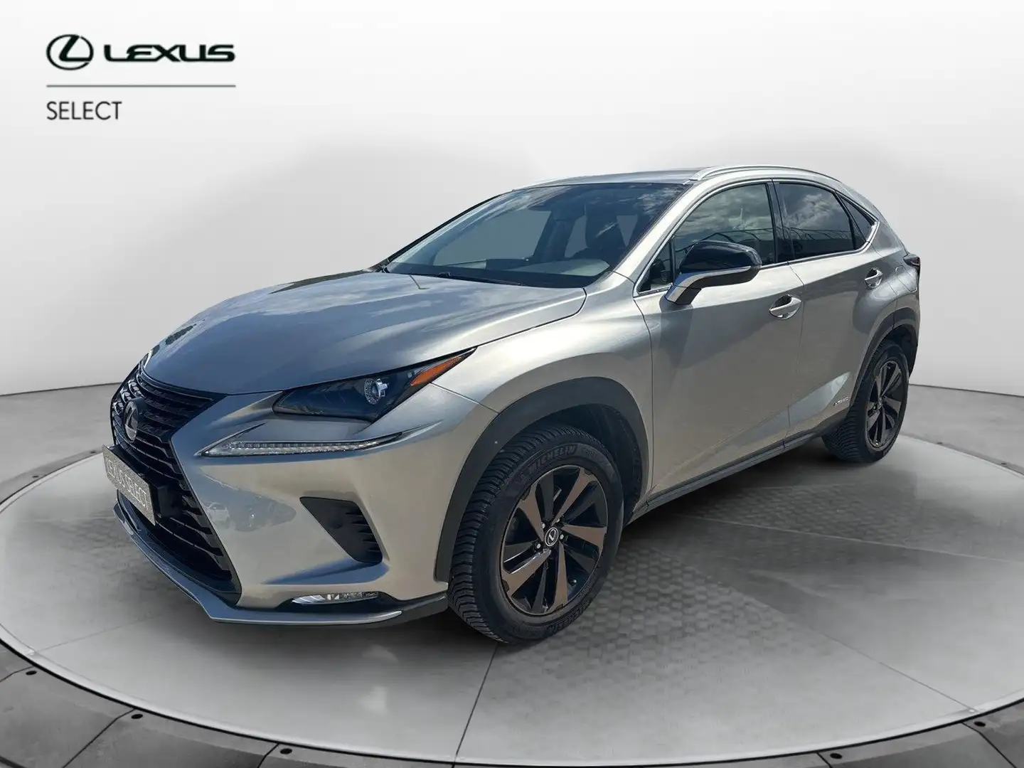 Lexus NX 300 Hybrid 4WD Premium Grau - 1