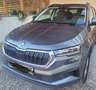 Skoda Karoq Karoq 1,0 TSI Ambition Ambition Grau - thumbnail 3