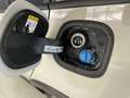 Ford Focus Station Wagon 1.5 EcoBlue ST-Line Білий - thumbnail 9
