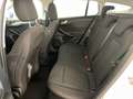 Ford Focus Station Wagon 1.5 EcoBlue ST-Line Білий - thumbnail 12