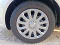 Ford Fiesta Fiesta 1.4 5 porte Bz.- GPL Argent - thumbnail 14