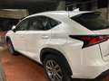 Lexus NX 300 NX I 2014300h 2.5 Executive 4wd cvt Bianco - thumbnail 4