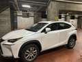 Lexus NX 300 NX I 2014300h 2.5 Executive 4wd cvt Bianco - thumbnail 3