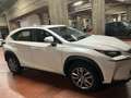 Lexus NX 300 NX I 2014300h 2.5 Executive 4wd cvt Bianco - thumbnail 1