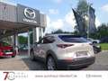 Mazda CX-30 Exclusive-Line 140 Automatik Matrix-LED|BOSE|Alexa Beige - thumbnail 5