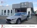 Mazda CX-30 Exclusive-Line 140 Automatik Matrix-LED|BOSE|Alexa Beige - thumbnail 1