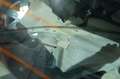 Renault Scenic II Avantage*1.9dCi*KLIMA*AHK*MOTOR ausgeb - thumbnail 5