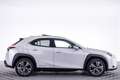 Lexus UX 300e Executive 54 kWh | LEDER | ECC | Full LED Wit - thumbnail 38