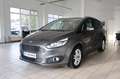 Ford S-Max Business 7 Sitze Kamera CarPlay Grau - thumbnail 7