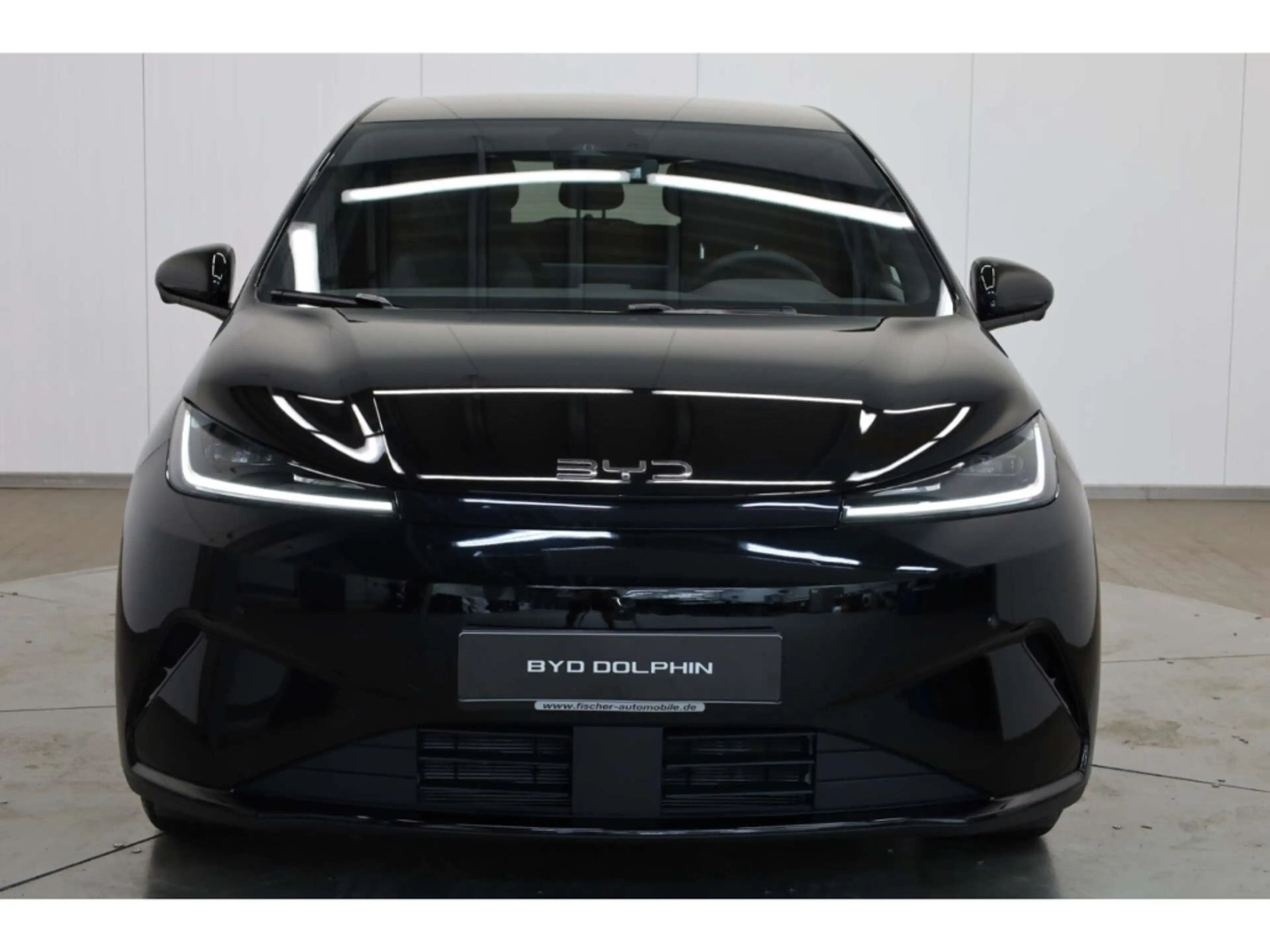 BYD Dolphin G DM-i Comfort — photo 3