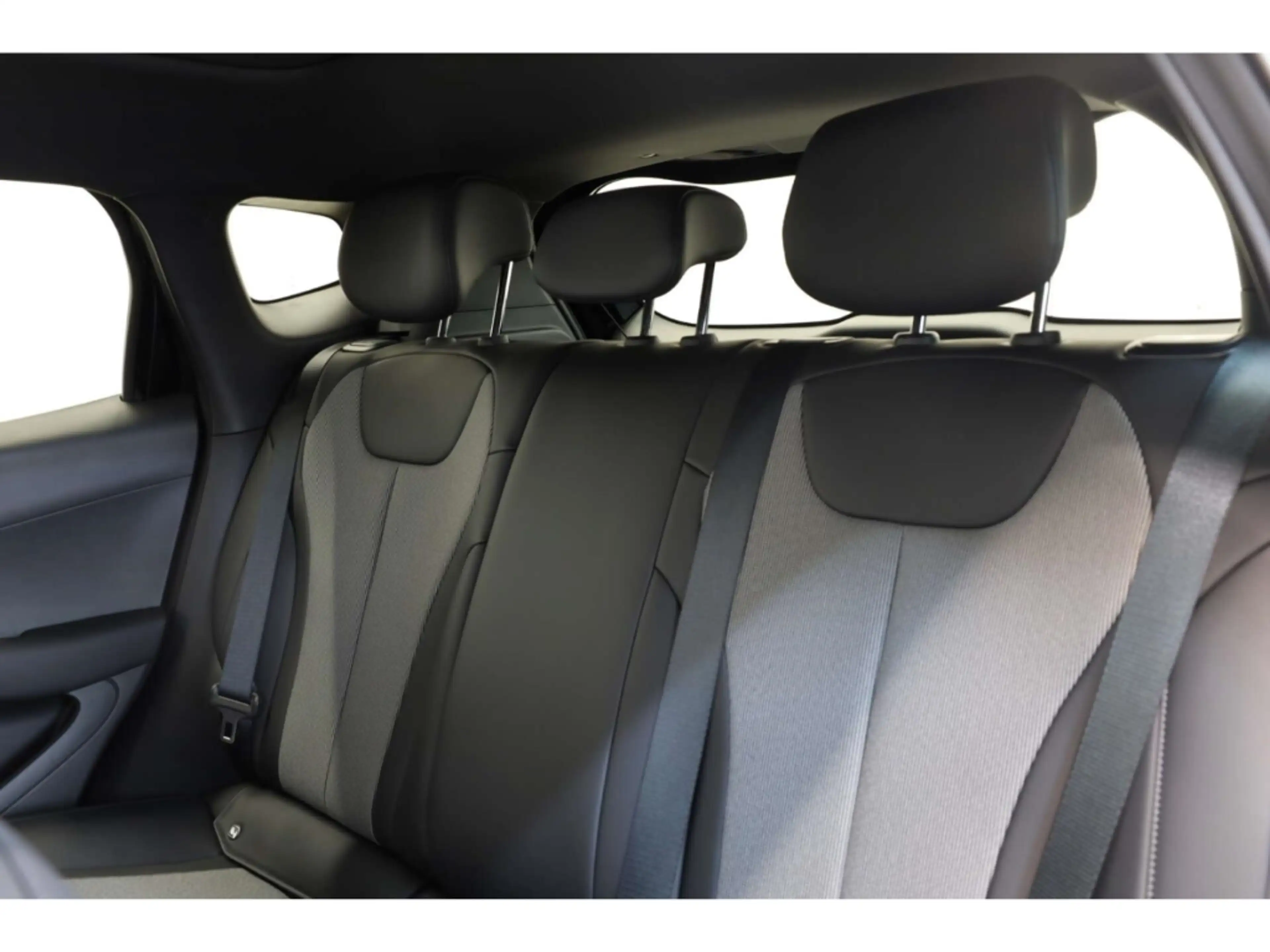 BYD Dolphin G DM-i Comfort — photo 12