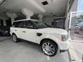 Land Rover Range Rover Sport 2.7 TDV6 HSE / UNICO PROPRIETARIO / PELLE / TETTO Weiß - thumbnail 2