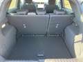 Ford Puma 1.0 ST-Line - Rückfahrkamera+Sitzheizung+Klimaauto Grau - thumbnail 6