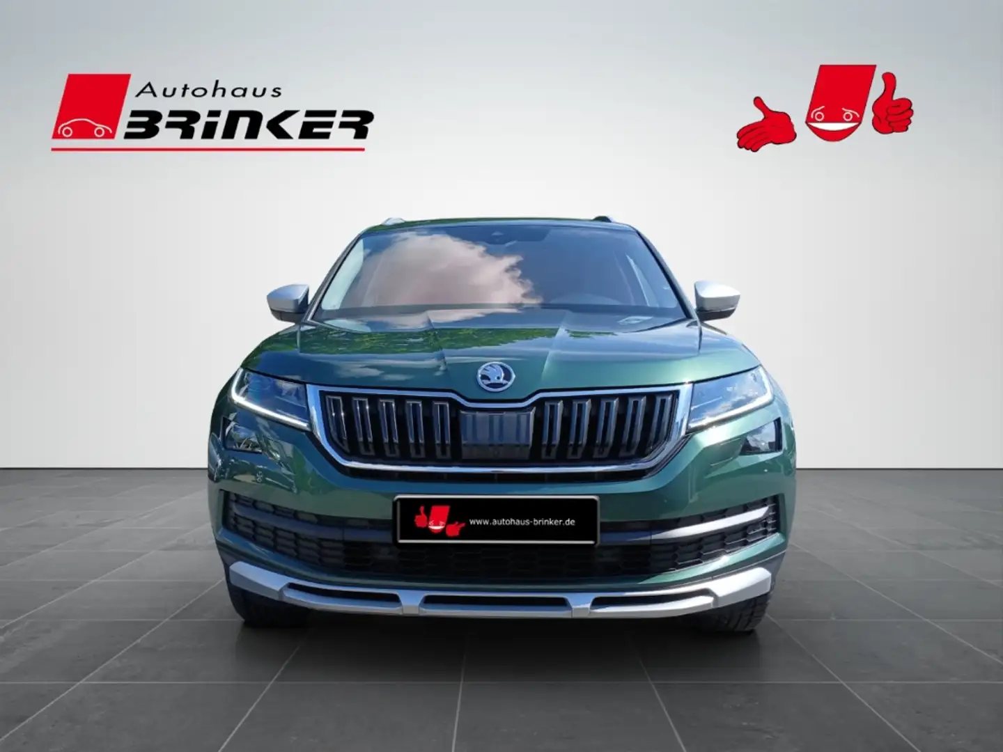 Skoda Kodiaq Scout 4x4 2.0 TDI DSG EU6d-T Grün - 2