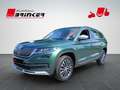 Skoda Kodiaq Scout 4x4 2.0 TDI DSG EU6d-T Grün - thumbnail 3