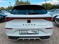 SEAT Leon Cupra HYBRID VZ DSG Navi*ACC*StandHz.*Kam Weiß - thumbnail 5