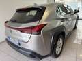 Lexus UX 250h UX  250h 2.0 Business 2wd cvt Grigio - thumbnail 4