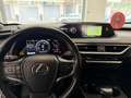 Lexus UX 250h UX  250h 2.0 Business 2wd cvt Grigio - thumbnail 6
