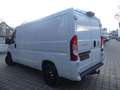 Fiat Ducato Kasten 2.2 Power L2H1 NAVI/TEMPO/KAM/AHK Blanc - thumbnail 18
