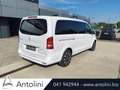 Mercedes-Benz V 220 d Automatic Sport Long "7 POSTI" Bianco - thumbnail 7