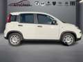 Fiat Panda 1.0 Mild Hybrid Pandina Cross (EURO 6e) Weiß - thumbnail 4