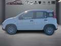 Fiat Panda 1.0 Mild Hybrid Pandina Cross (EURO 6e) Weiß - thumbnail 1