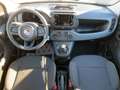 Fiat Panda 1.0 Mild Hybrid Pandina Cross (EURO 6e) Weiß - thumbnail 6