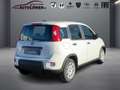 Fiat Panda 1.0 Mild Hybrid Pandina Cross (EURO 6e) Weiß - thumbnail 3