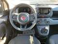 Fiat Panda 1.0 Mild Hybrid Pandina Cross (EURO 6e) Weiß - thumbnail 7