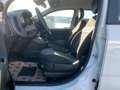 Fiat Panda 1.0 Mild Hybrid Pandina Cross (EURO 6e) Weiß - thumbnail 9