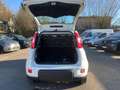 Fiat Panda 1.0 Mild Hybrid Pandina Cross (EURO 6e) Weiß - thumbnail 11