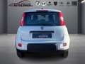 Fiat Panda 1.0 Mild Hybrid Pandina Cross (EURO 6e) Weiß - thumbnail 2