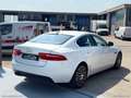 Jaguar XE 2.0 D 180 CV aut. Prestige Blanc - thumbnail 4