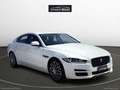 Jaguar XE 2.0 D 180 CV aut. Prestige Wit - thumbnail 3