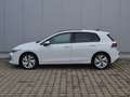 Volkswagen Golf VIII 1.5 TSI Life AHK/PANORAMA/17-ZOLL/ASSISTENZ/ Weiß - thumbnail 8