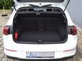 Volkswagen Golf VIII 1.5 TSI Life AHK/PANORAMA/17-ZOLL/ASSISTENZ/ Weiß - thumbnail 14