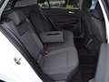 Volkswagen Golf VIII 1.5 TSI Life AHK/PANORAMA/17-ZOLL/ASSISTENZ/ Weiß - thumbnail 9