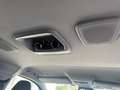 Ford Tourneo Custom 320 2.0 EcoBlue 136CV aut. PL Titanium NEW MODEL Синій - thumbnail 10