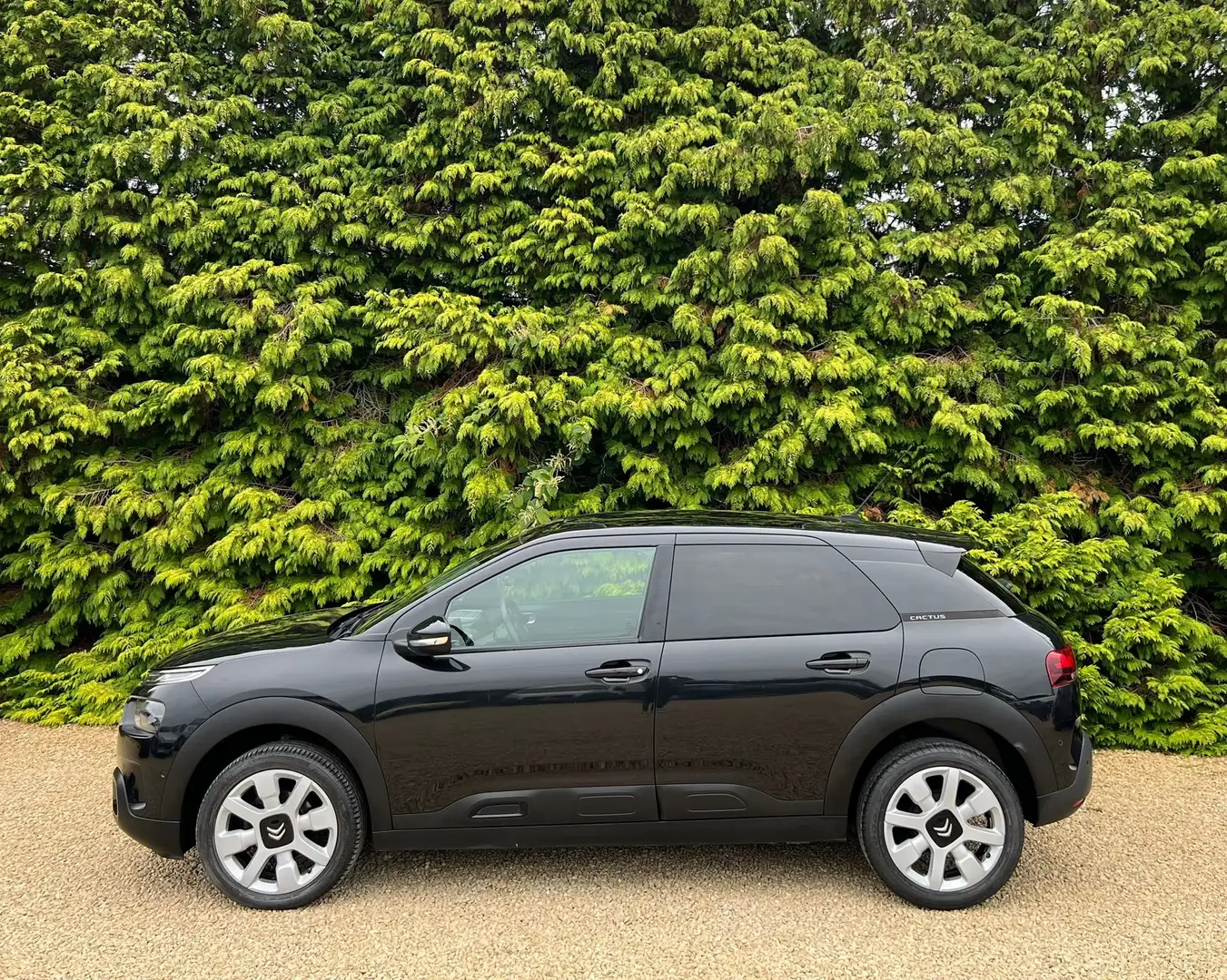 Citroen C4 Cactus 1.6 BlueHDi 100 CV PANORAMIQUE GPS CAMERA CLIM LED Noir - 2