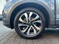 Volkswagen T-Roc 1.0 TSI Active AHK Kamera PDC Grau - thumbnail 14