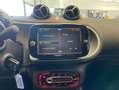 smart forTwo fortwo cabrio EQ passion/22kW/Exclusive/LED Noir - thumbnail 12